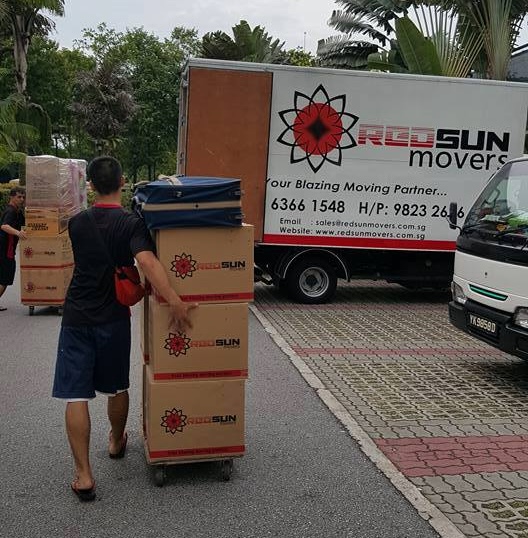 Why Choose Professional Movers
